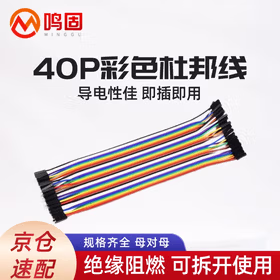 鸣固 杜邦线 彩色排线连接线 母对母排线连接线40P可撕式 母对母20cm【2排】