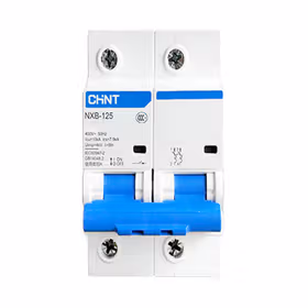 正泰 小型断路器；NXB-125 2P D80