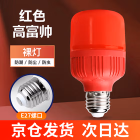 远波 led灯泡球泡灯超亮防潮防尘防虫节能灯泡红色高富帅e27螺口 10W（京仓发货）