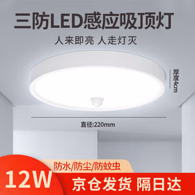 莞安 LED圆形感应吸顶三防灯声光控双感应道梯灯过道阳台灯 京仓发货 【12W】直径220 白光