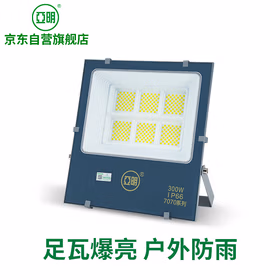 亚明 led投光灯户外射灯工地厂房车间庭院室外照明灯 IP66防水等级300W白光