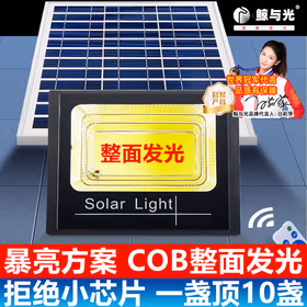 鲸与光 太阳能路灯户外照明灯防水室外灯 一拖一路灯分体式路灯路灯 LED道路灯 华亮-3000