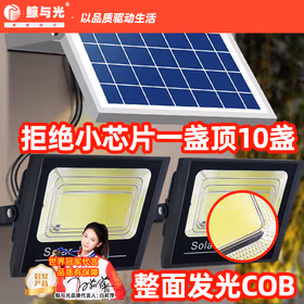 鲸与光 太阳能路灯户外照明灯防水室外灯花园 一拖二路灯分体式路灯  LED道路灯 华亮-2000+2000