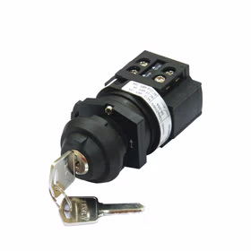 上海天逸电器 圆头侧接线钥匙型开关；LW42A2CJY-22503/O无徽板