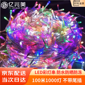亿兆美 彩灯串满天星户外防水LED七彩变色新年元旦春节圣诞节生日装饰 彩色100米