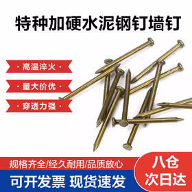 永利尚 钉子水泥钉镀锌钢钉高强度墙钉混凝土木工钉子国标350g 水泥钢钉40mm（约130个） 1包