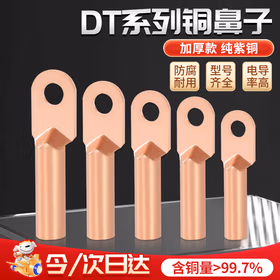 铸固 铜鼻子 线鼻子16平方DT冷压接线端子铜线耳接线电缆接线头 DT-16mm（10只装）