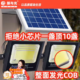 鲸与光 太阳能路灯户外照明灯防水室外灯一拖二路灯分体式路灯庭院果园 LED道路灯 华亮-3000+3000