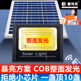 鲸与光 太阳能路灯户外院子户外照明灯防水室外灯农村分体式光控定时 大功率路灯 LED华亮-2000