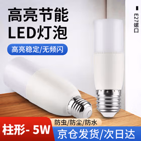 远波 柱形led灯泡白光E27螺口节能灯泡玉米灯筒灯灯泡 白光5W（次日达）