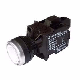 上海天逸电器 圆形平头按钮,白色,带灯；LA42PD-10/AC220V/W