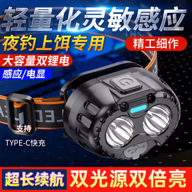 莞安 LED感应头灯长续航强光type-c充电超亮户外灯头戴式矿灯手电筒 感应款双光源