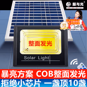 鲸与光太阳能路灯户外照明灯防水室外灯农村花园一拖一路灯分体式路灯大功率路灯 LED华亮-1000