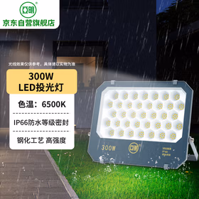 亚明 LED投光灯射灯户外工地厂房车间招牌照明灯 IP66防水等级300W-6500K白光