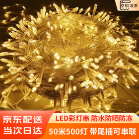 亿兆美 彩灯串满天星户外防水LED七彩变色新年元旦春节圣诞节生日装饰 暖色50米