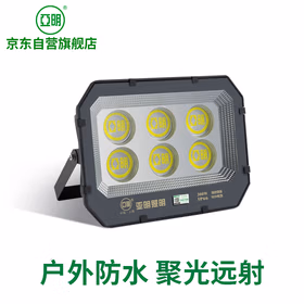 亚明 9090投光灯led射灯户外照明防水工业车间室外探照灯6500K白光300W