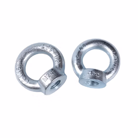 惠象 4.8级 吊环螺母（正标，锻打） DIN582 蓝白锌 1个 M12-1.75