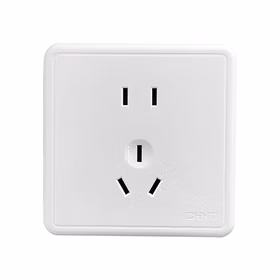 正泰 一联二极三极插座 10A 250V；NEW1-C11100A