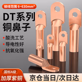 贝傅特 铜鼻子 线鼻子16平方DT冷压接线鼻子铜线鼻子铜线耳接线  DT-16mm 20只装
