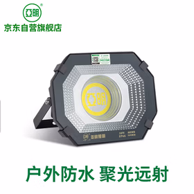 亚明 9090投光灯led射灯户外照明防水工业车间室外探照灯6500K白光50W