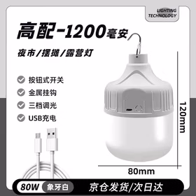 远波 led应急灯泡地摊夜市摆摊灯户外露营充电无线照明USB节能灯 高配DOB款80W（次日达）