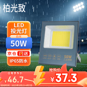 柏光致 LED投光灯 户外防水照明灯广告招牌投射灯 50W-白光 1个
