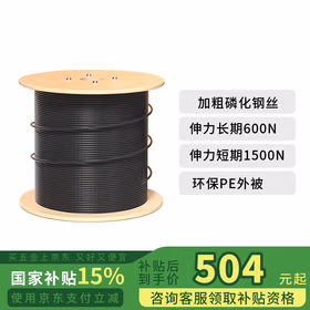 BYNET GYTA53重铠地埋单模室外光缆 4芯光缆 层绞式铠装直埋光缆通信光纤线 100米 BYN-GYTA53-4B1.3