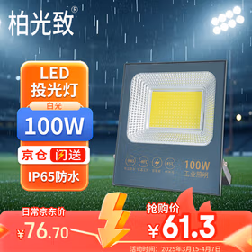 柏光致 LED投光灯 户外防水照明灯广告招牌投射灯 100W-白光 1个
