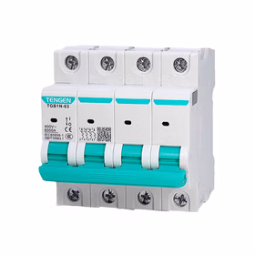 天正电气 小型断路器TGB1系列；TGB1N-63 4P D10(祥云3.0)