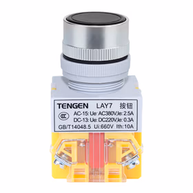 天正电气 按钮LAY7系列；LAY7-11BN 普通平钮 (黑)