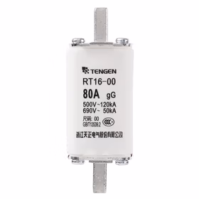 天正 熔断器；RT16-00(NT00)/80A(祥云3.0)