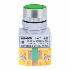 天正电气 按钮LAY7系列；LAY7-10BN 平钮 (绿)