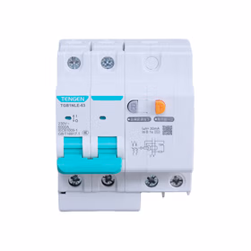天正电气 小型漏电断路器TGB1NLE系列；TGB1NLE-63 2P C63 100mA(祥云3.0)