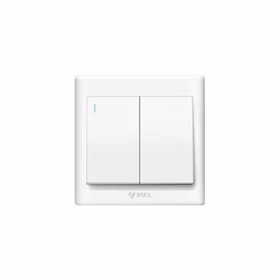 公牛 二位单极带荧光开关 10A 250V；G32K211 白色