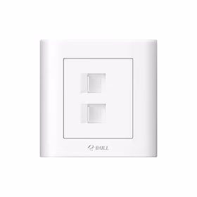 公牛 二位电脑插座（打线型/六类）；G32T222B 白色