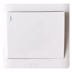 公牛 一位单极带荧光开关 10A 250V；G32K111 白色