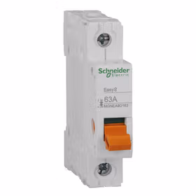 施耐德电气 隔离开关 EA9D 1P 63A；MGNEA9D163