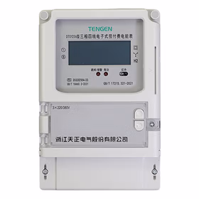 天正电气  DTSY256系列三相预付费电能表；DTSY256 3&times;220/380V 20(80)A 1级LCD
