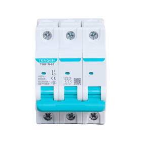 天正 小型断路器；TGB1N-63 3P C16(祥云3.0)