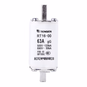 天正电气  RT16系列熔断器；RT16-00(NT00)/63A(祥云3.0)