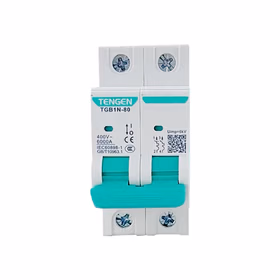 天正电气 小型断路器TGB1系列；TGB1N-80 2P C80(祥云3.0)