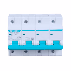 天正 小型断路器；TGB1N-125H 4P C100(祥云3.0)