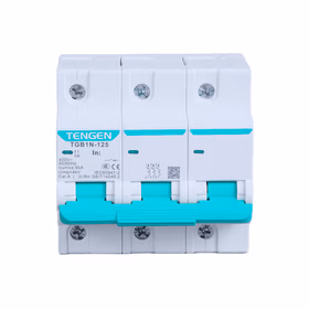 天正 小型断路器；TGB1N-125 3P C100(祥云3.0)
