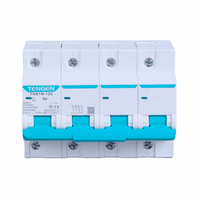 天正 小型断路器；TGB1N-125 4P C100(祥云3.0)