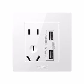 公牛 二三极+二位USB插座（插座10A+USB 5V 24A）；G32E535 白色