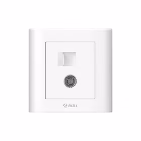 公牛 一位电脑+电视插座（打线型/六类）；G32T223B 白色