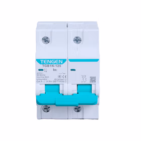 天正电气 小型断路器TGB1系列；TGB1N-125 2P C63(祥云3.0)