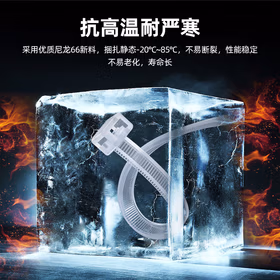 山泽(SAMZHE)自锁式尼龙扎带 2.5*200mm 理线带 束线绑带 黑色 100根/包ZD-47