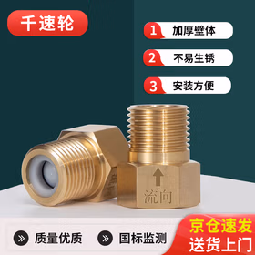 千速轮单向止回阀防反水止逆阀4分内丝流向外丝 卫浴厨房适用【两只装】