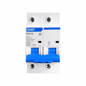 正泰 小型断路器；NXB-125 2P D100